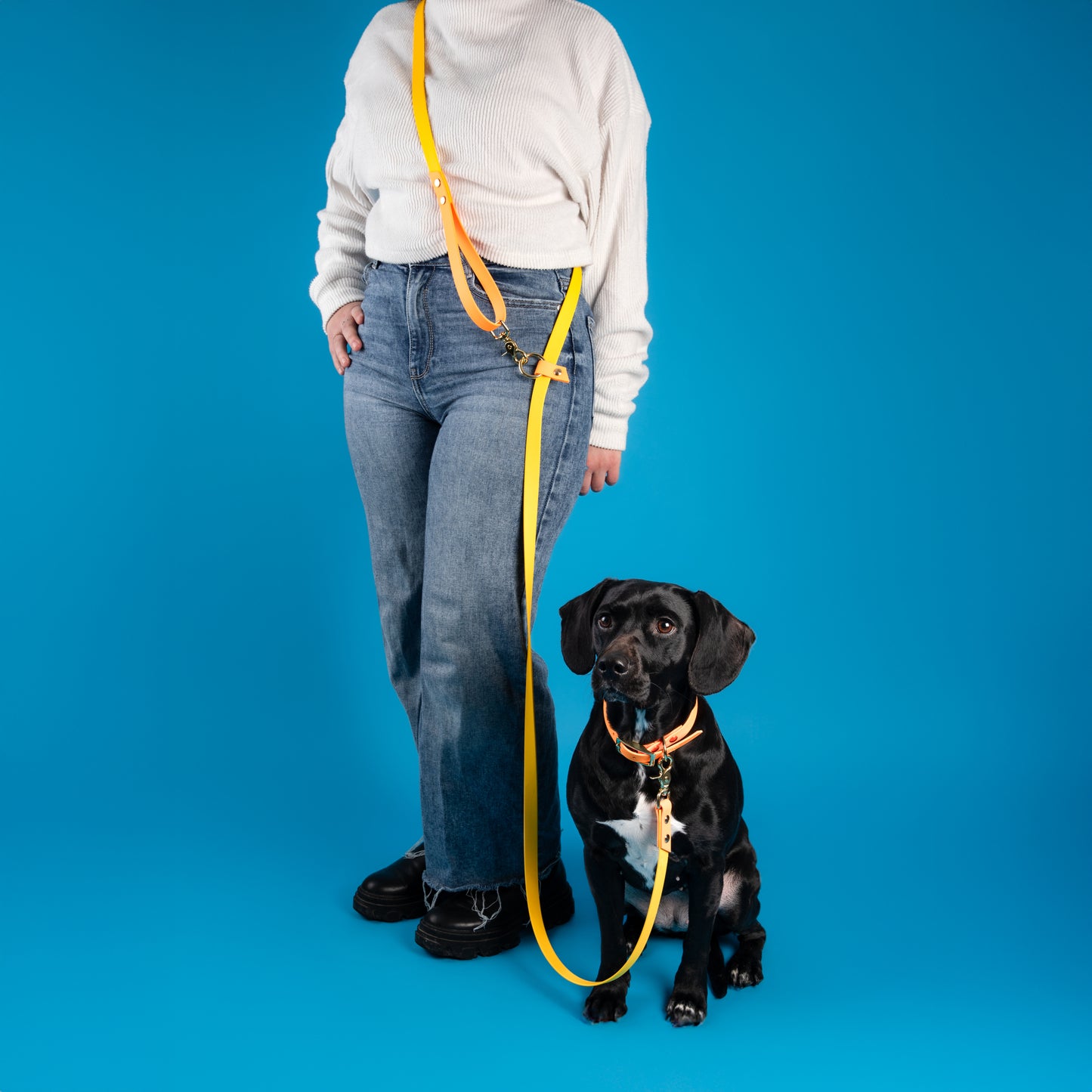 Laisse multi-positions | Bicolore