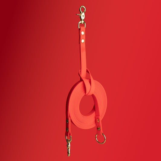 Porte longe/ poignée