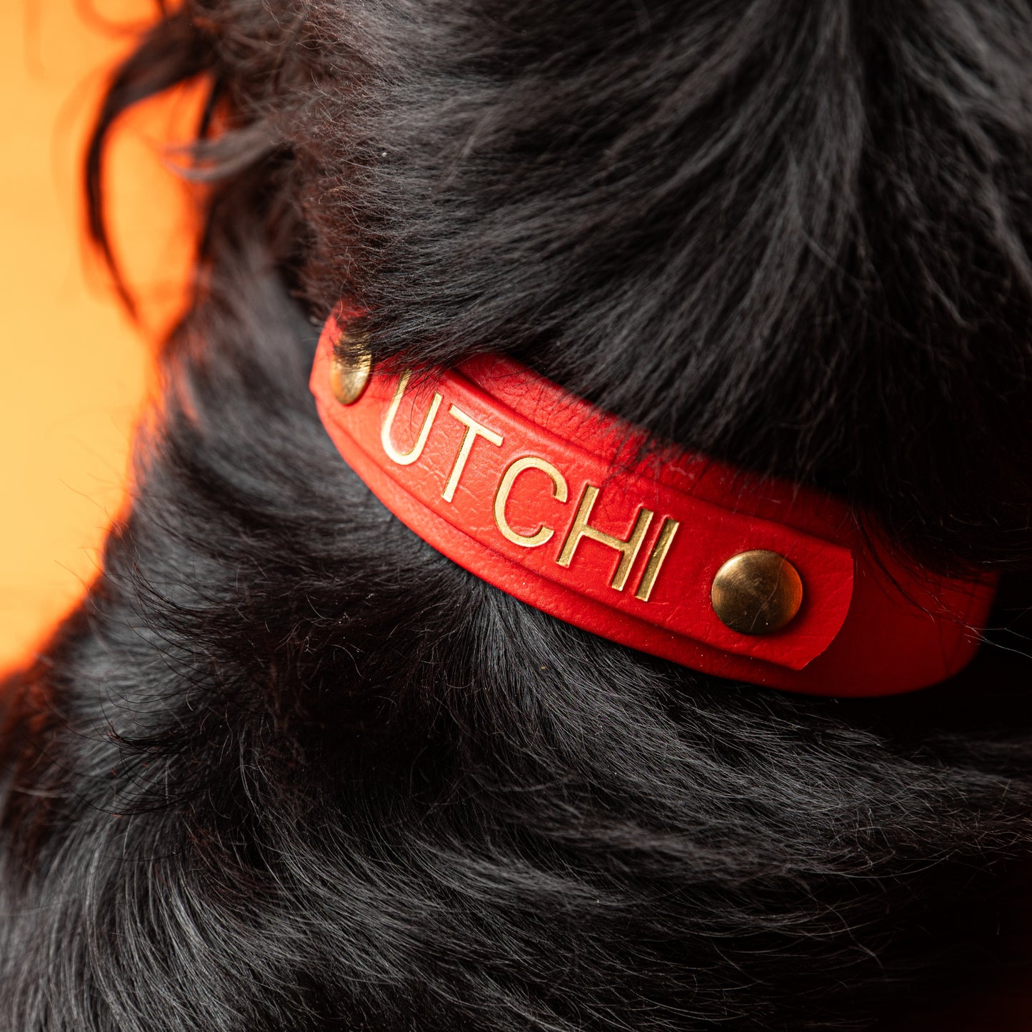 Collier | Utchi