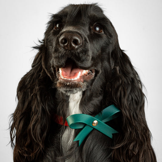 Noël | Collier strass et nœud