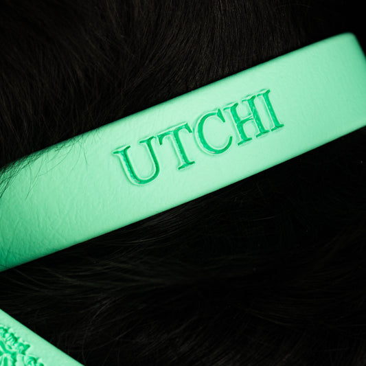 Collier | Chiot
