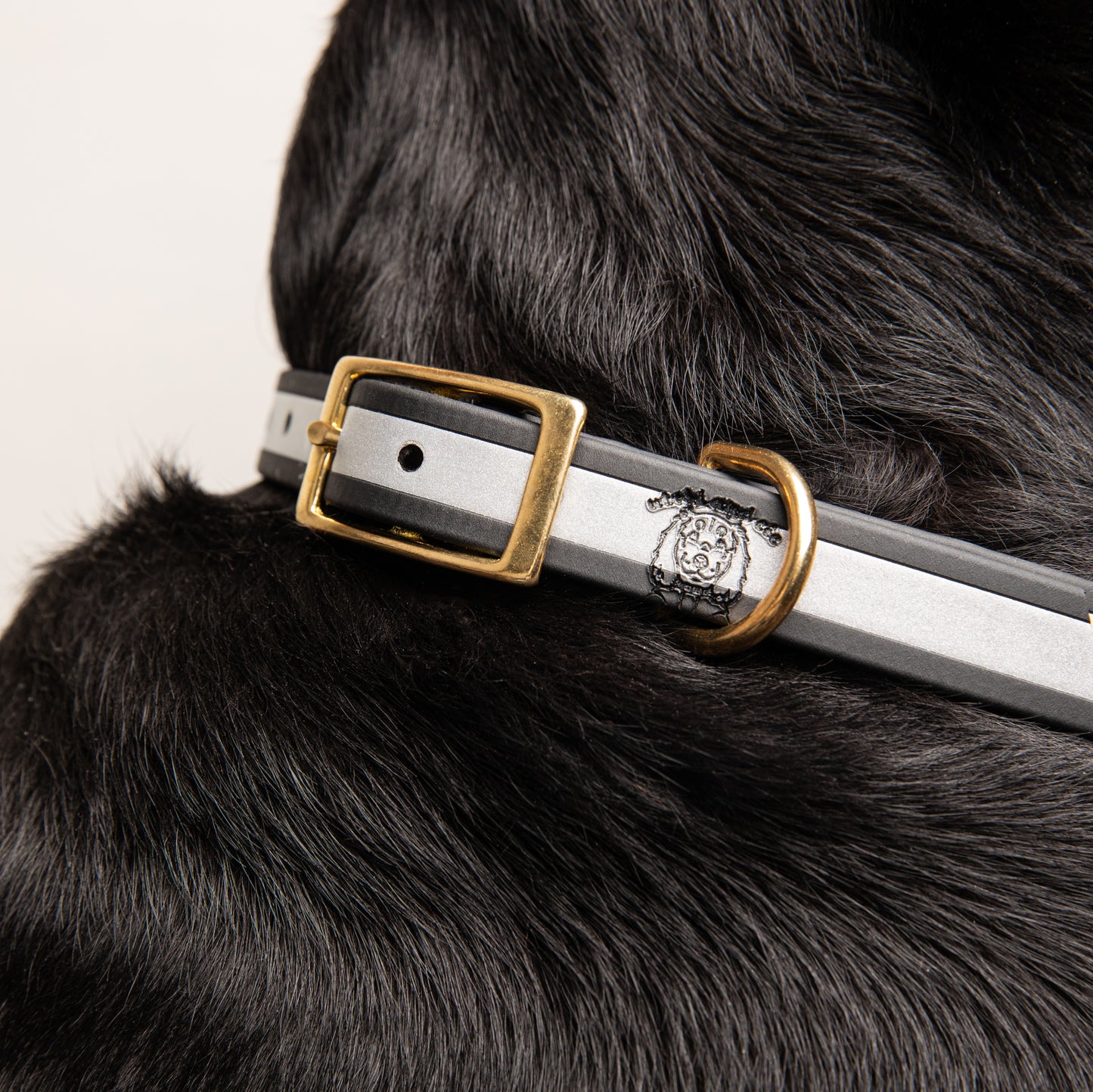 Collier | Réfléchissant