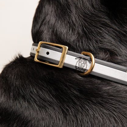 Collier | Réfléchissant