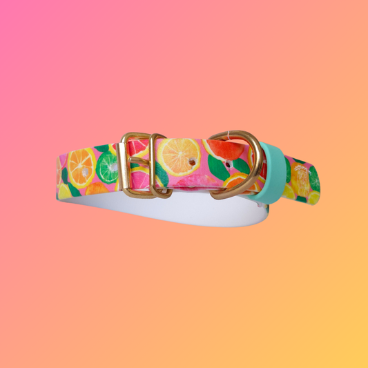 Collier | Utchi UV