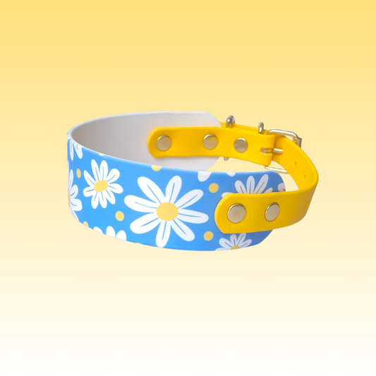 Collier | Belyss UV