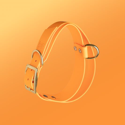 Collier | Poignée