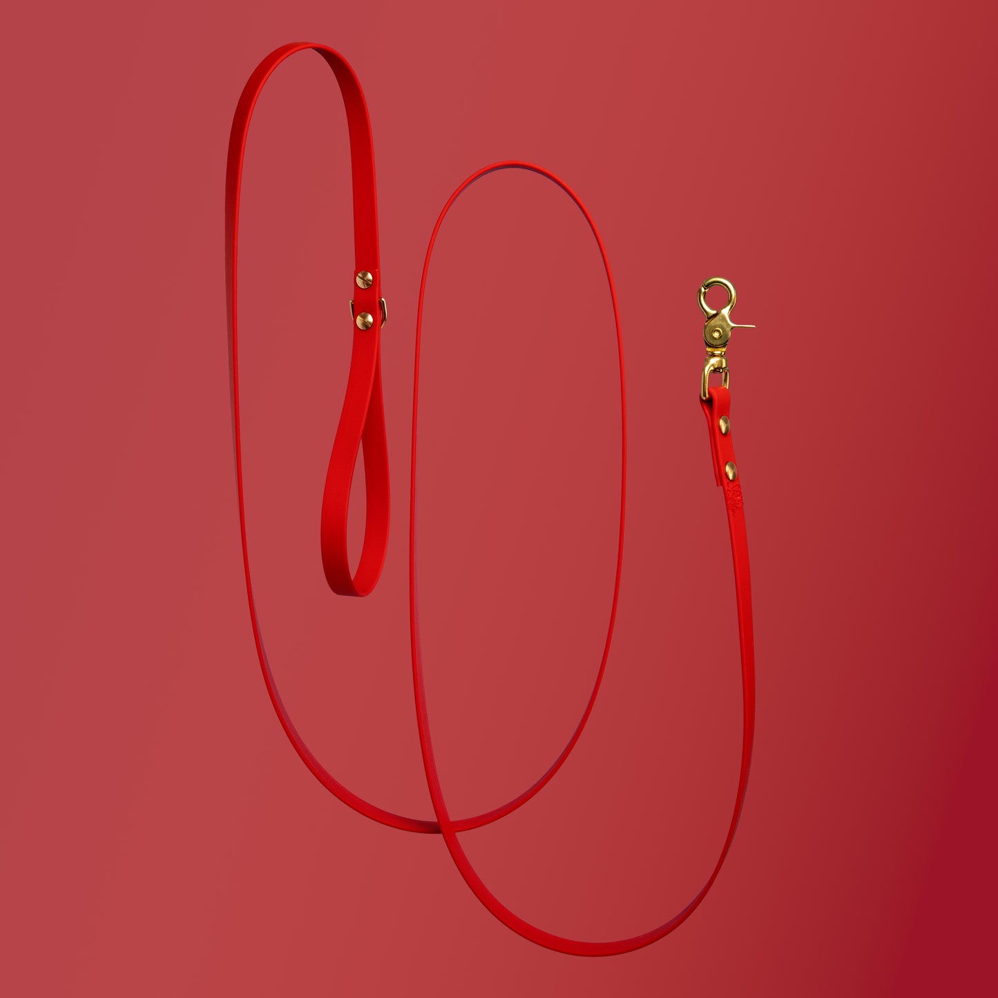 Laisse | Unie