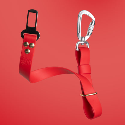 🎀 Ceinture de sécurité