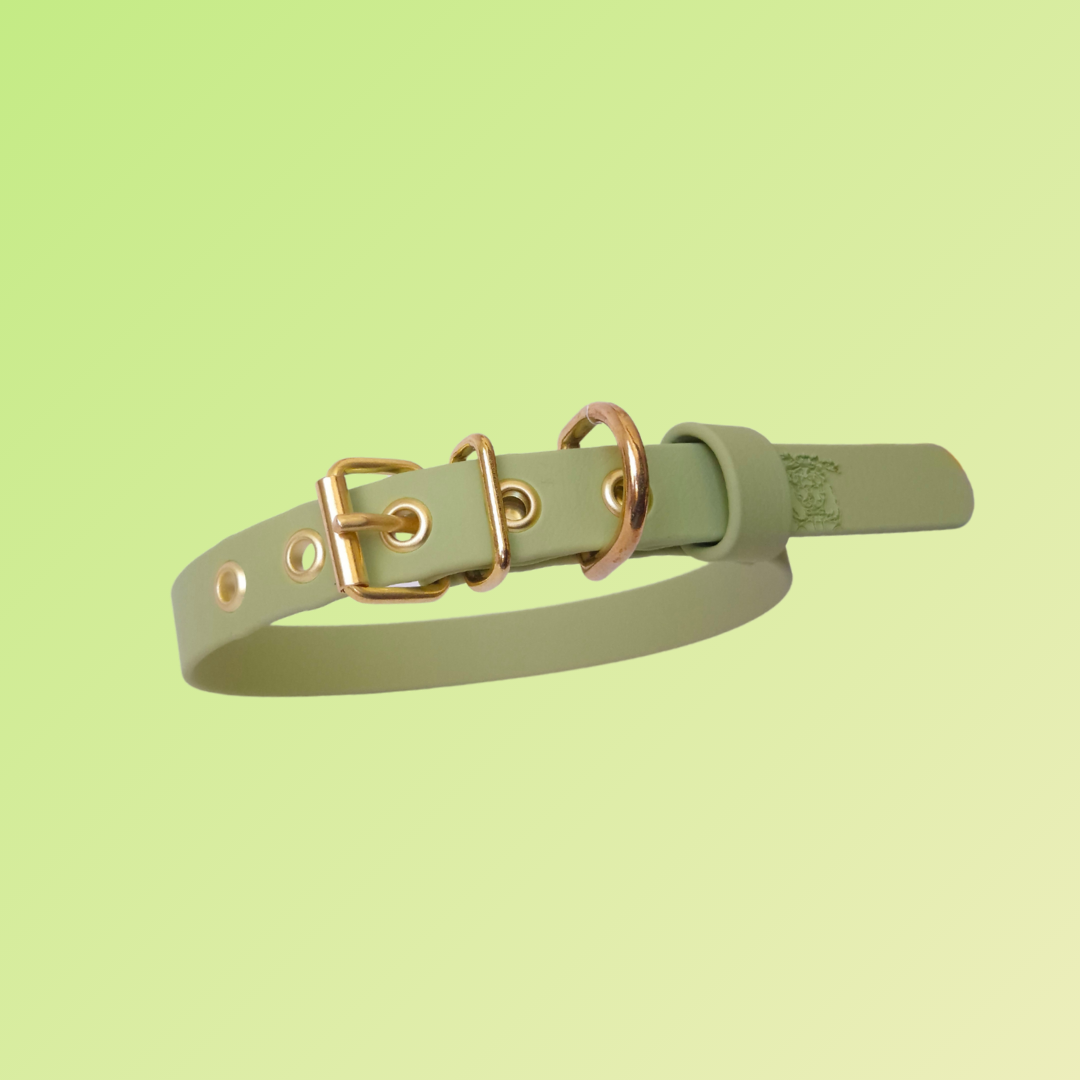 Collier | Utchi