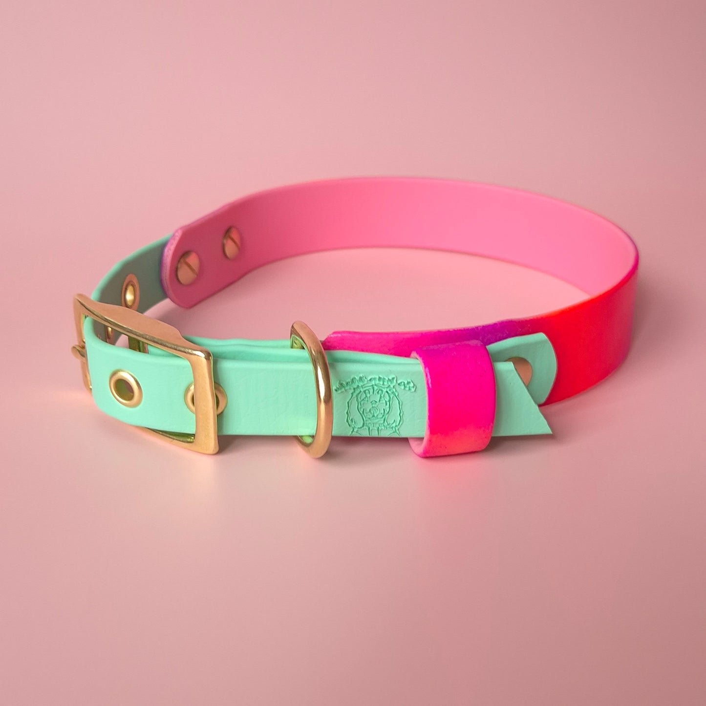 🎀 Collier | Test dégradé