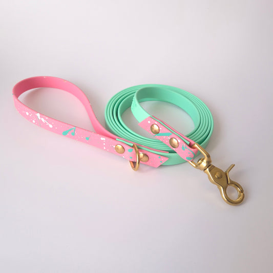 🎀 Laisse | Pop