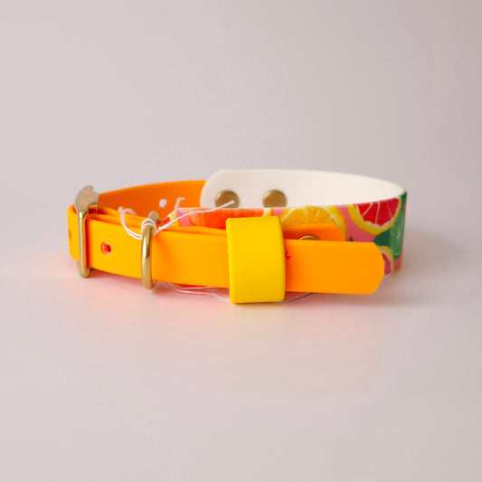 Belyss UV 23 à 31cm