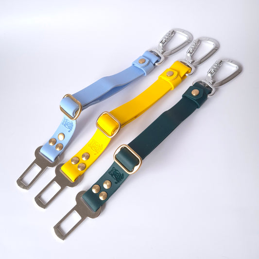 🎀 Ceinture de sécurité