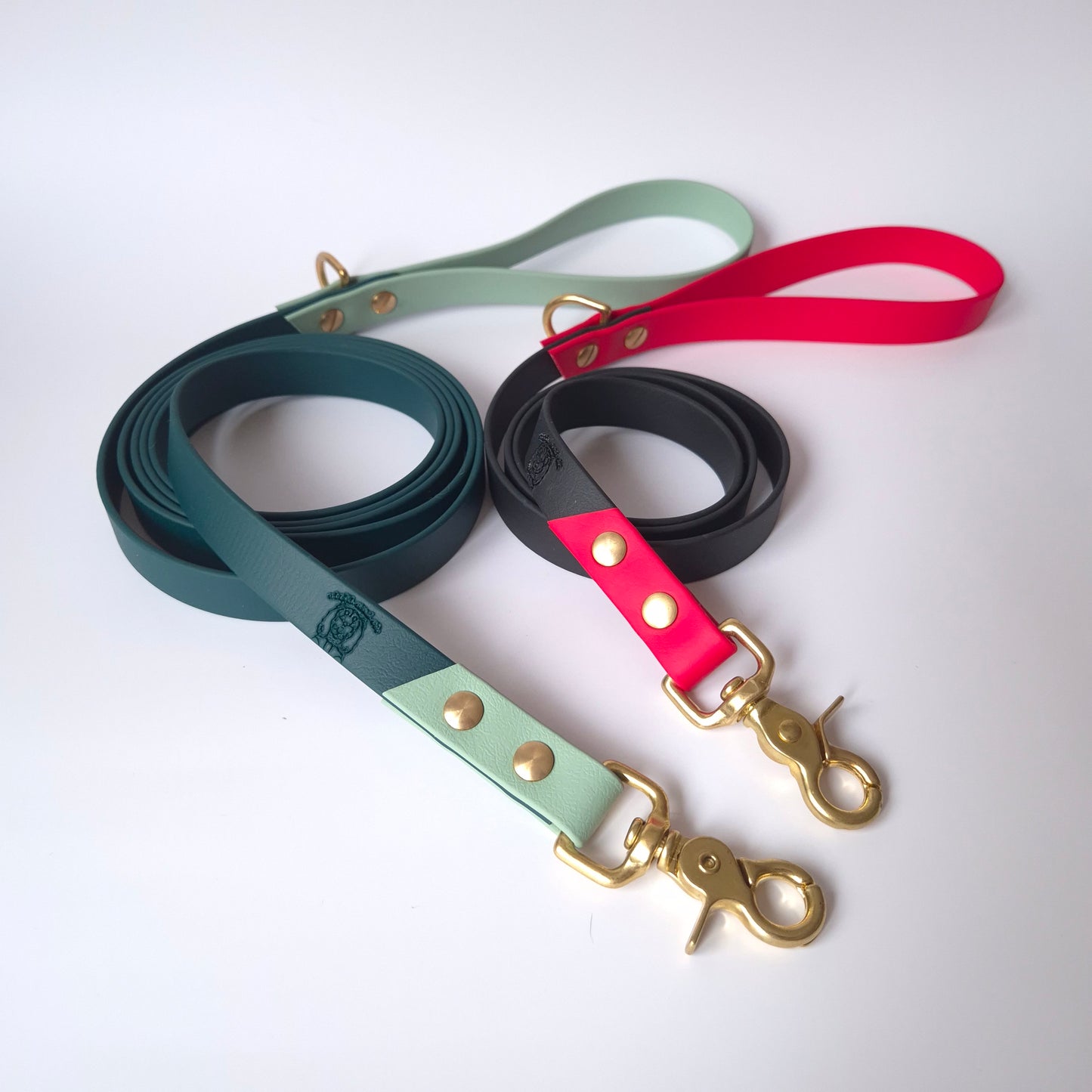 🎀 Laisse | Bicolore