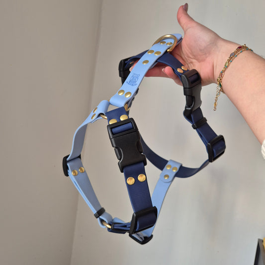 Harnais clip