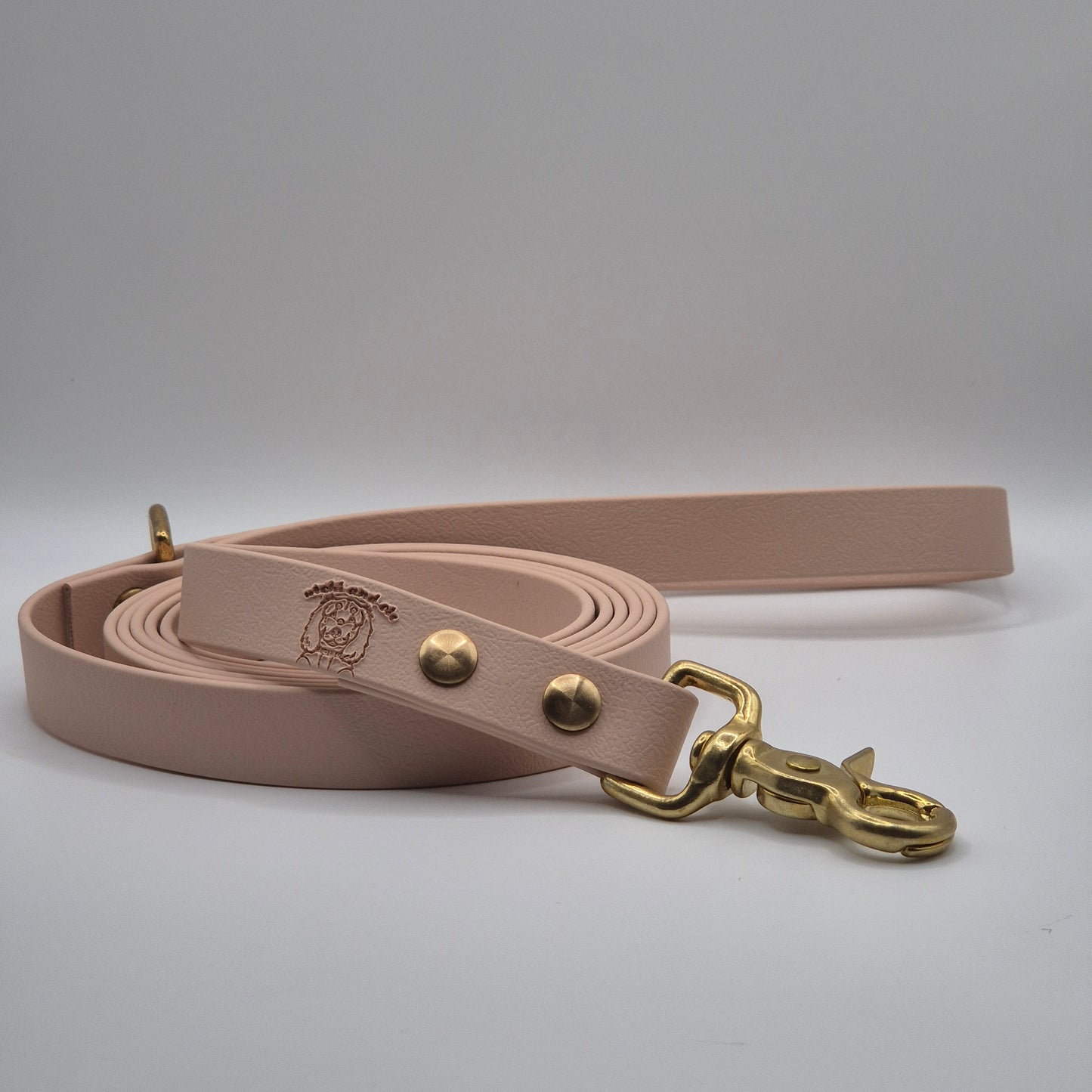 🎀 Laisse | Unie