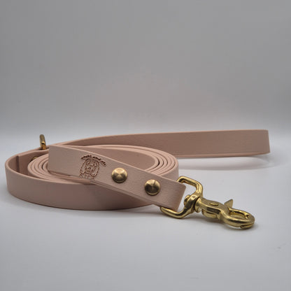 🎀 Laisse | Unie