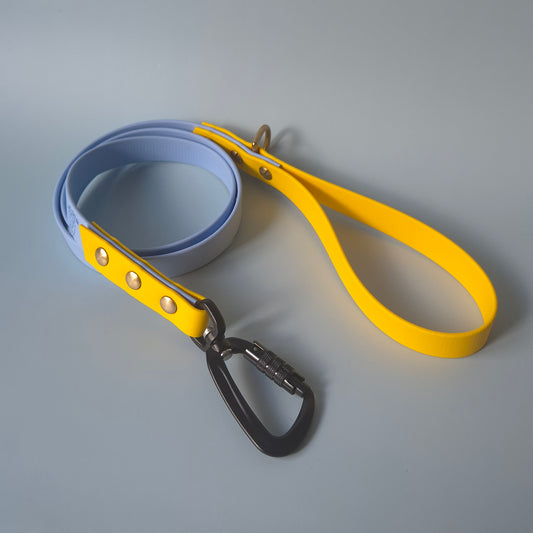 Laisse bicolore sécurité 120cm