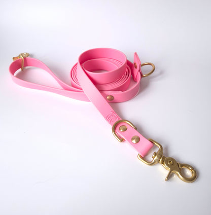 🎀 Laisse multi-positions | Unie